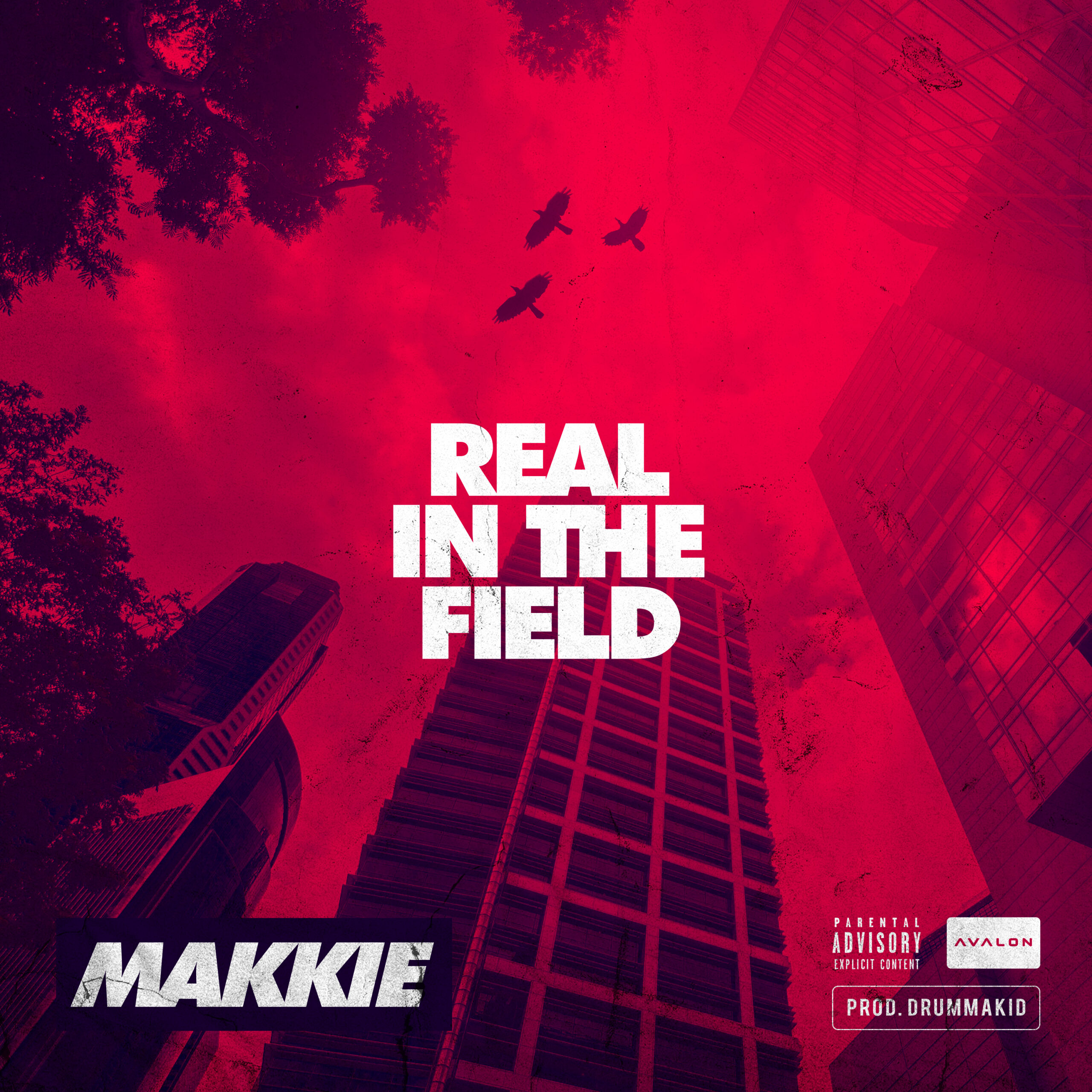 VRIJDAG! ? ‘Makkie – Real In The Field (prod. Drummakid)