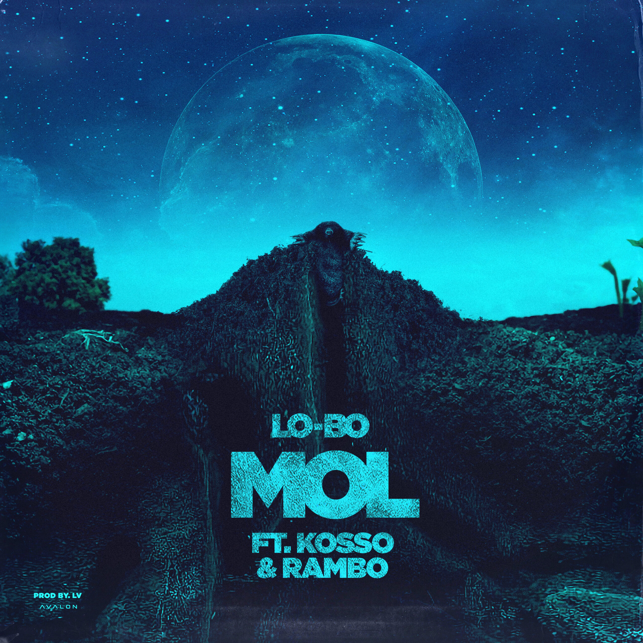 Vrijdag 8 maart nieuwe single ‘Mol’ van Lo-Bo